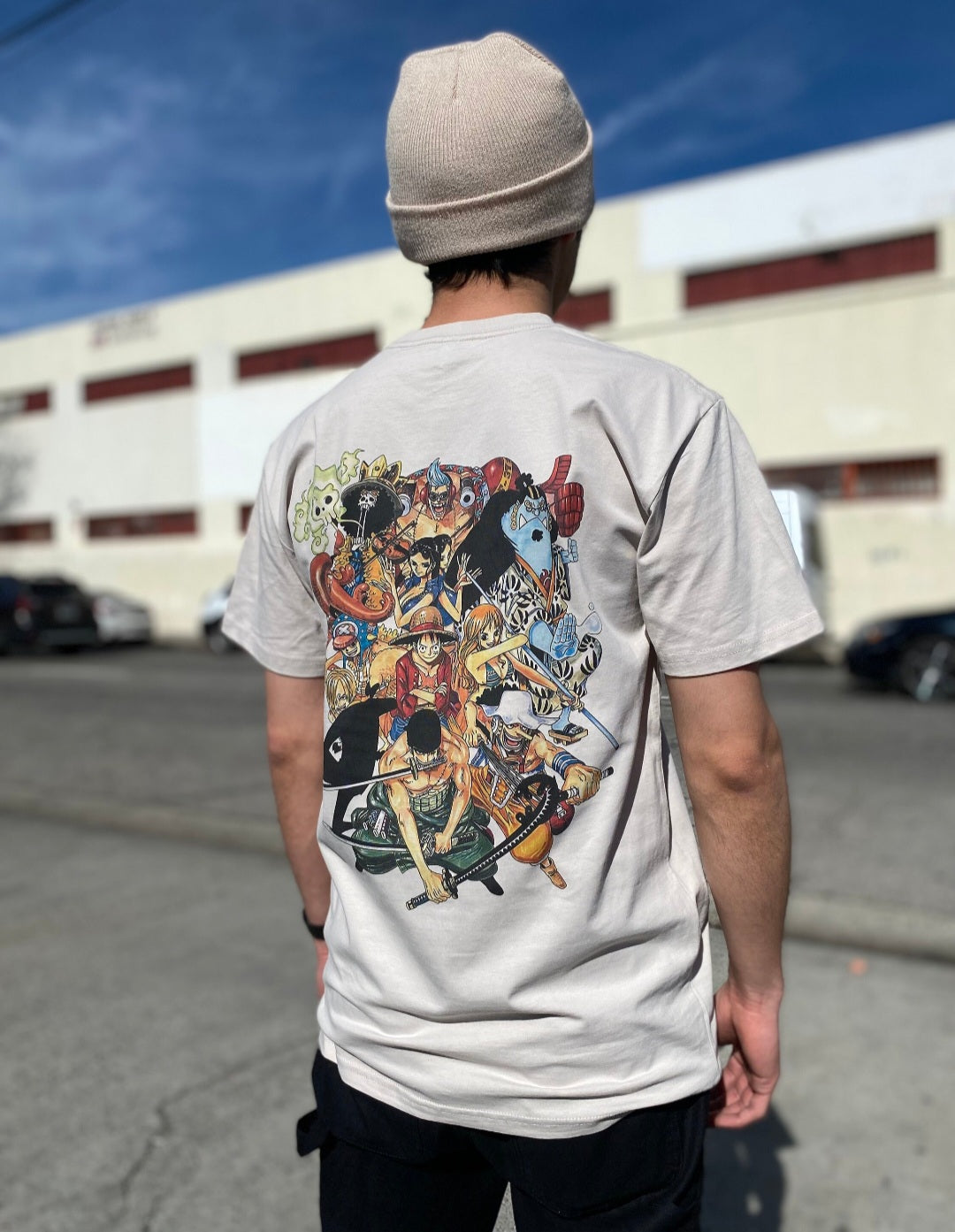 Pirate Crew Shirt - Back & Front Pirate Anime